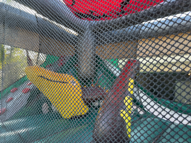 Jurassic Adventure Zone 3